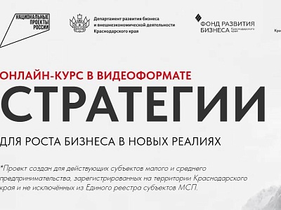 На Кубани для предпринимателей запустили онлайн – курс «Стратегии»
