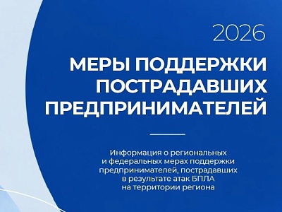 Меры поддержки субъектов предпринимательства, пострадавших от атак БПЛА на логистические комплексы