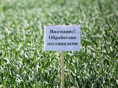 Россельхознадзор напоминает о важности и обязательности предварительного информирования о проведении обработки полей пестицидами и агрохимикатами