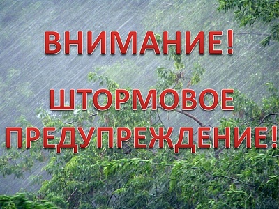 Штормовое предупреждение